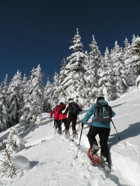 Premium Wanderhotel Steirerhof Schladming Ngoại thất bức ảnh